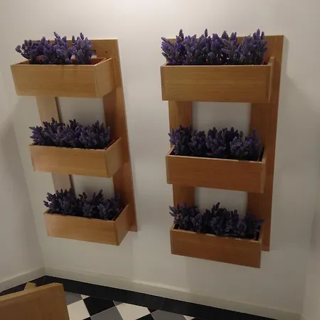 Апартаменты The Marketplace By Storytellers Фуншал